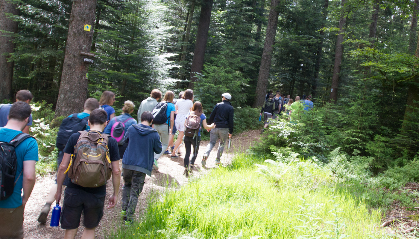 A hike in the Black Forest. 